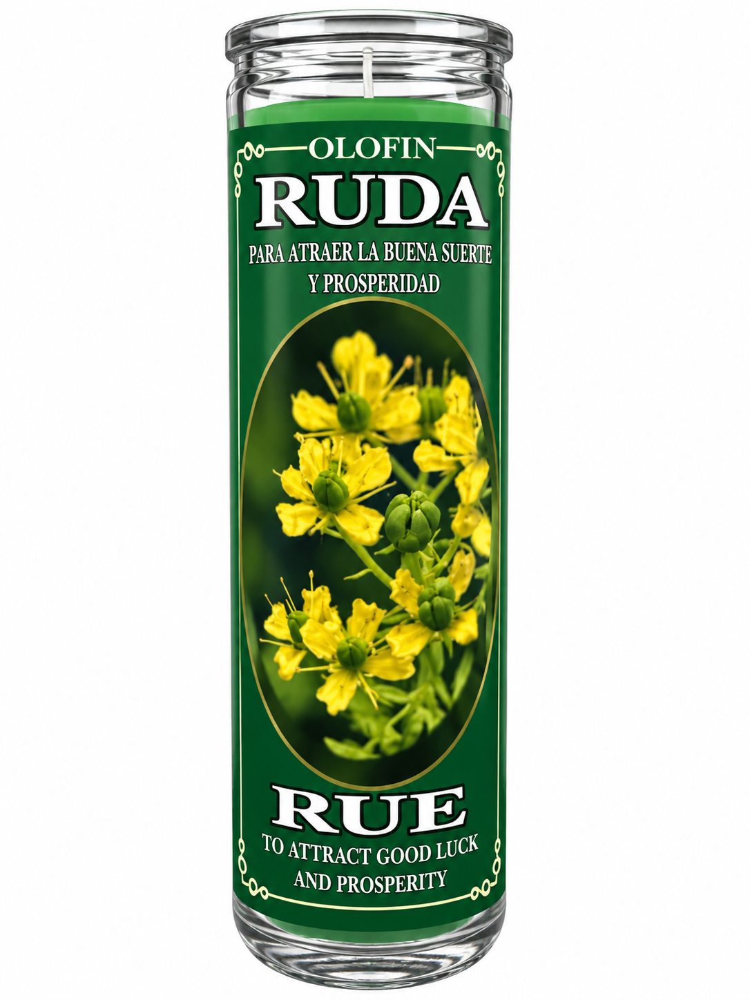 Ruda