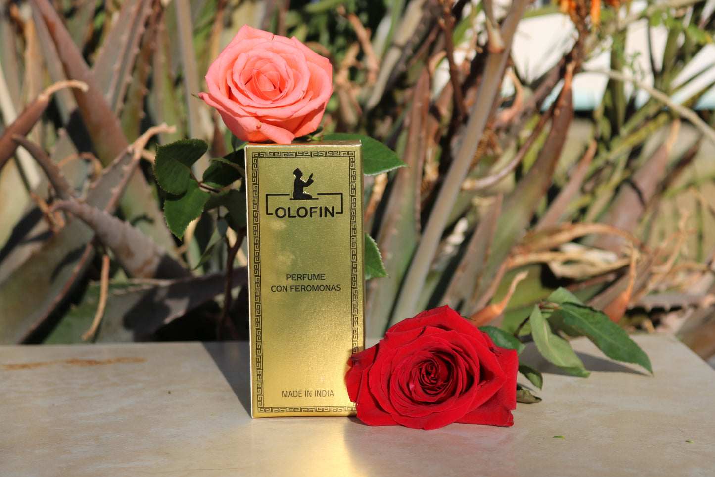 Cógeme Perfume with Pheromones