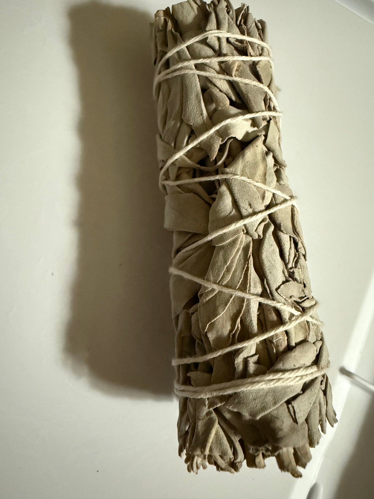 White Sage