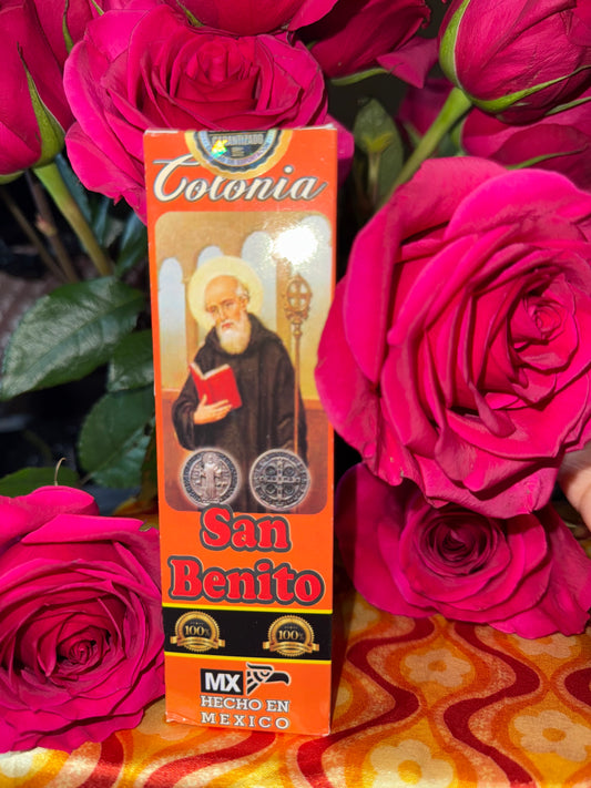 San Benito Colonia for Home