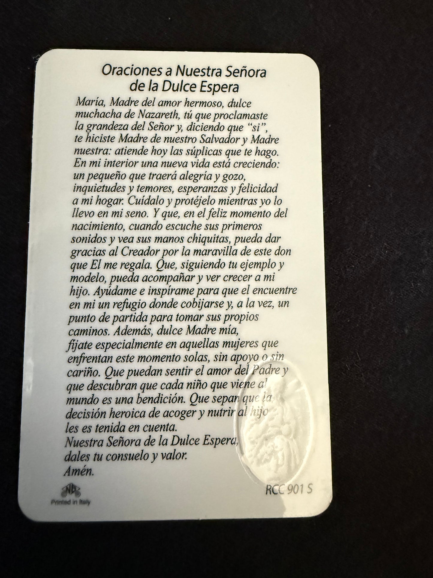 Nuestra Señora de la Dulce Espera Card