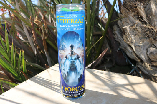 7 Fuerzas