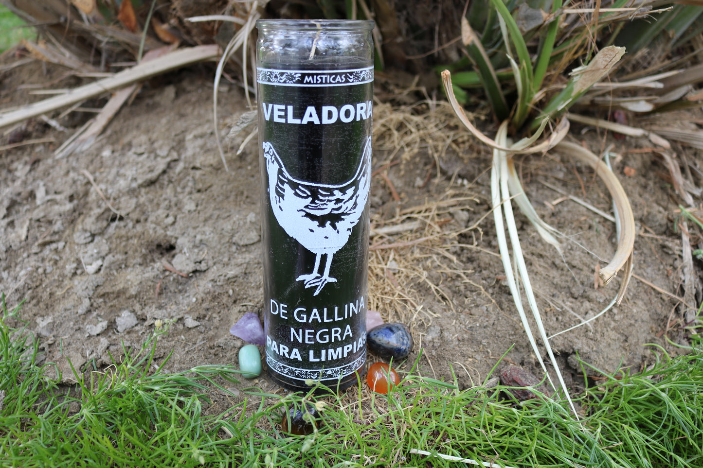 Gallina Negra