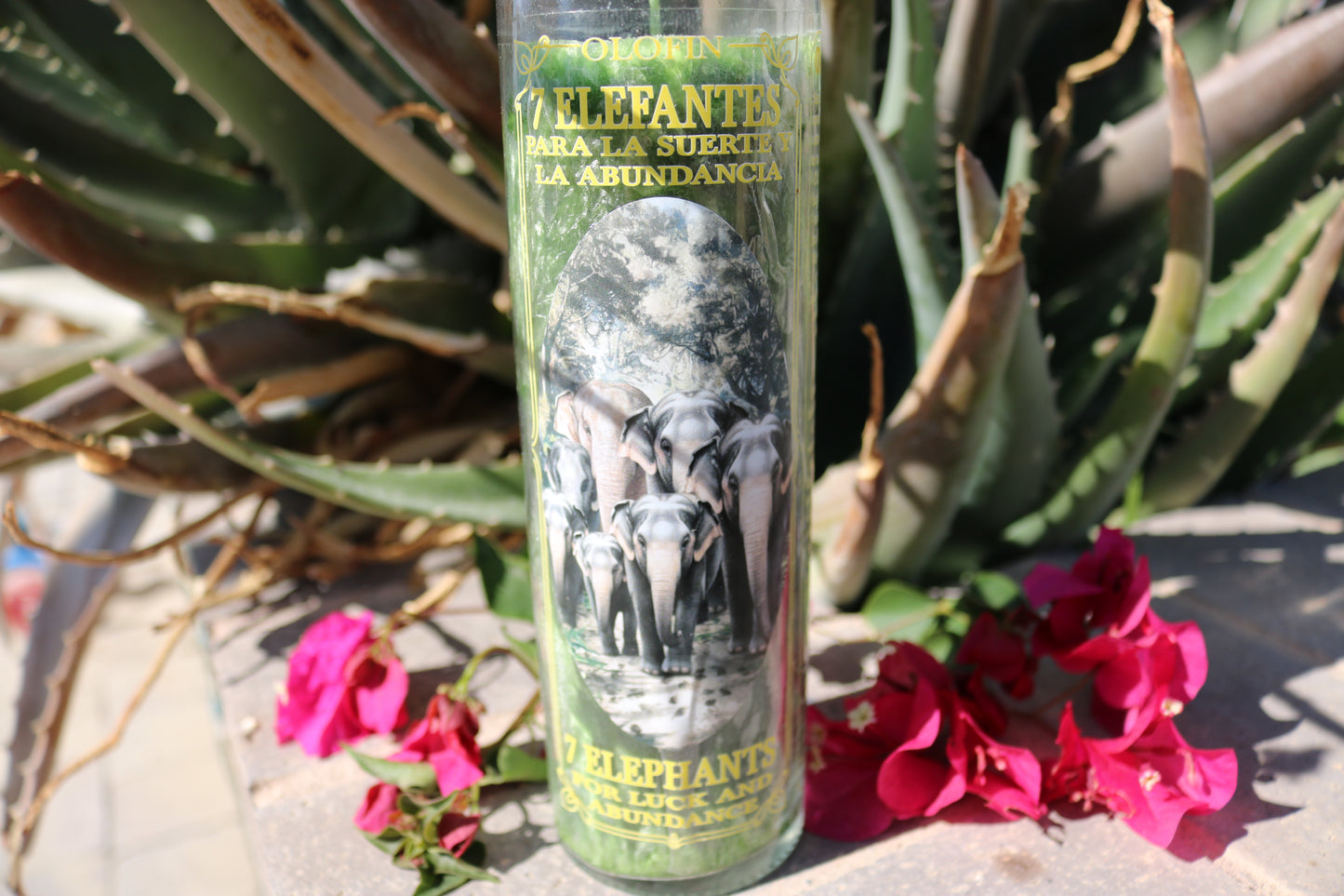 7 Elefantes