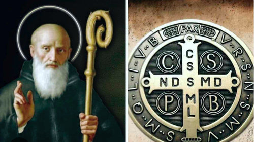 Botánica San Benito