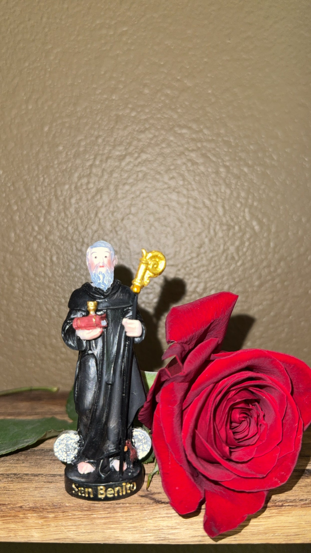 Tiny San Benito