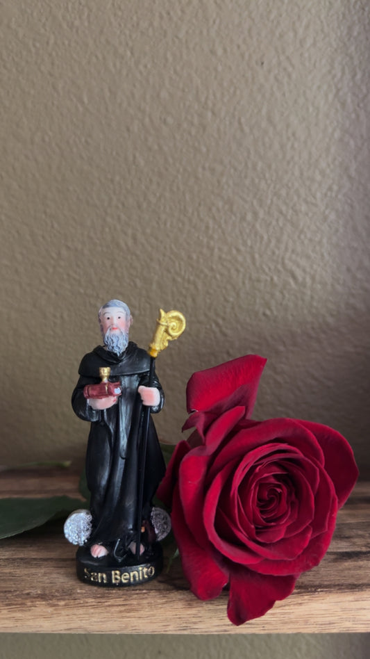 Tiny San Benito
